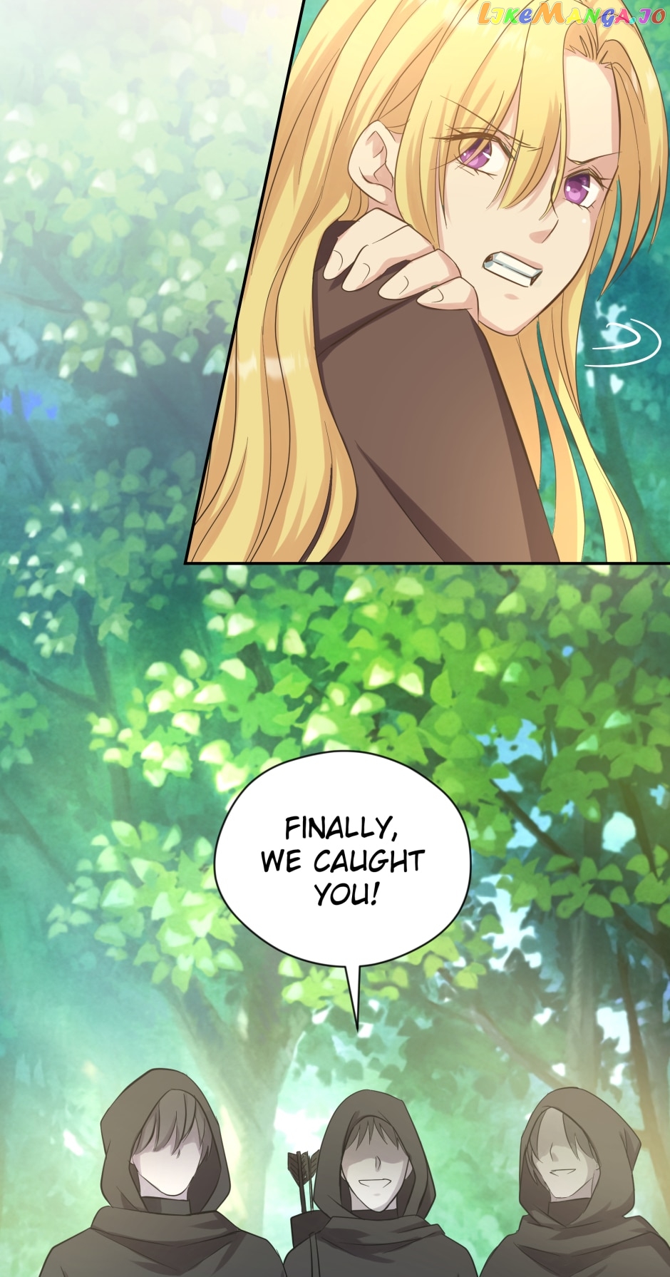 The Princess and The Demon Chapter 26 - page 27