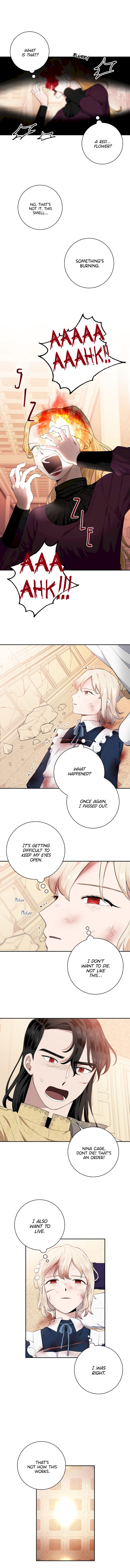 Love Quest for a Servant Girl Chapter 29 - page 3