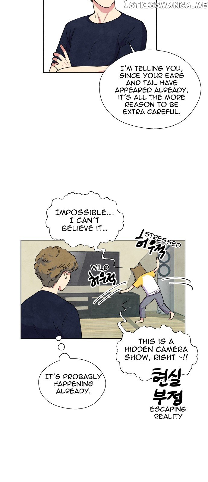 The Little Red Riding Hood chapter 4 - page 35
