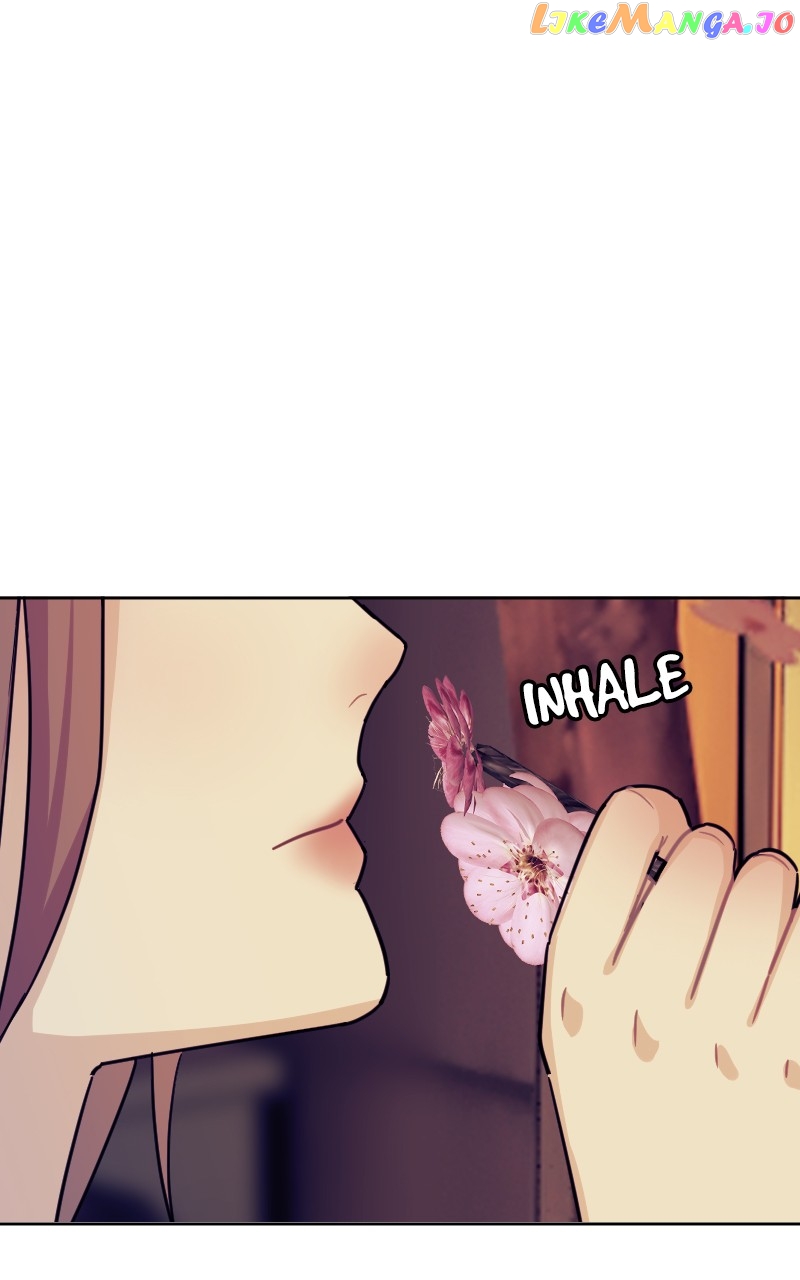Midnight Poppy Land chapter 16 - page 1