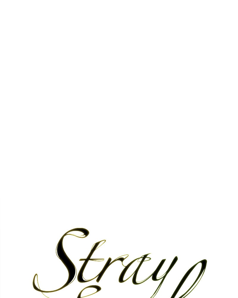 Stray Souls Chapter 31 - page 78