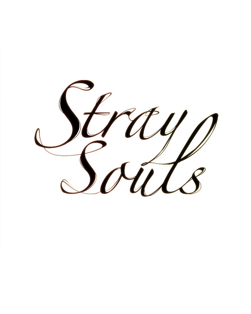 Stray Souls Chapter 29 - page 66