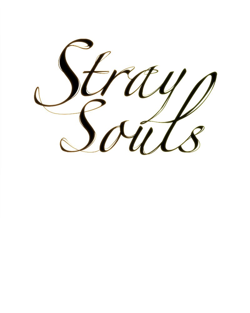 Stray Souls Chapter 20 - page 66