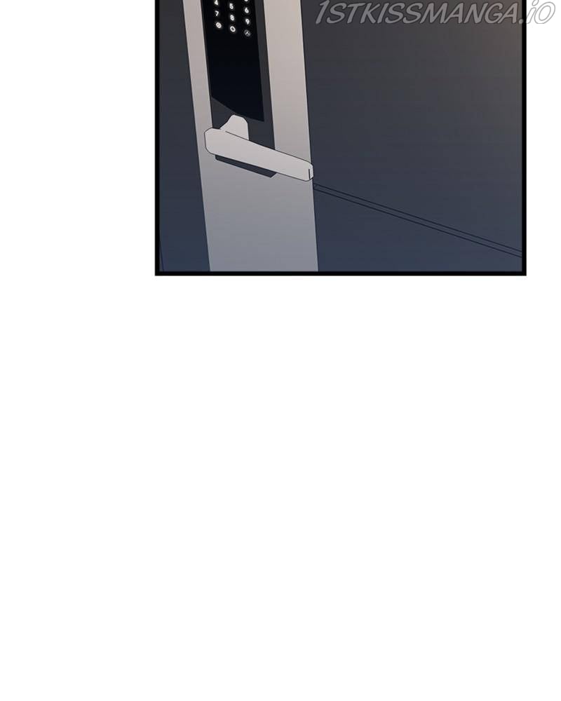 My dazzling ex-husband Chapter 11 - page 2