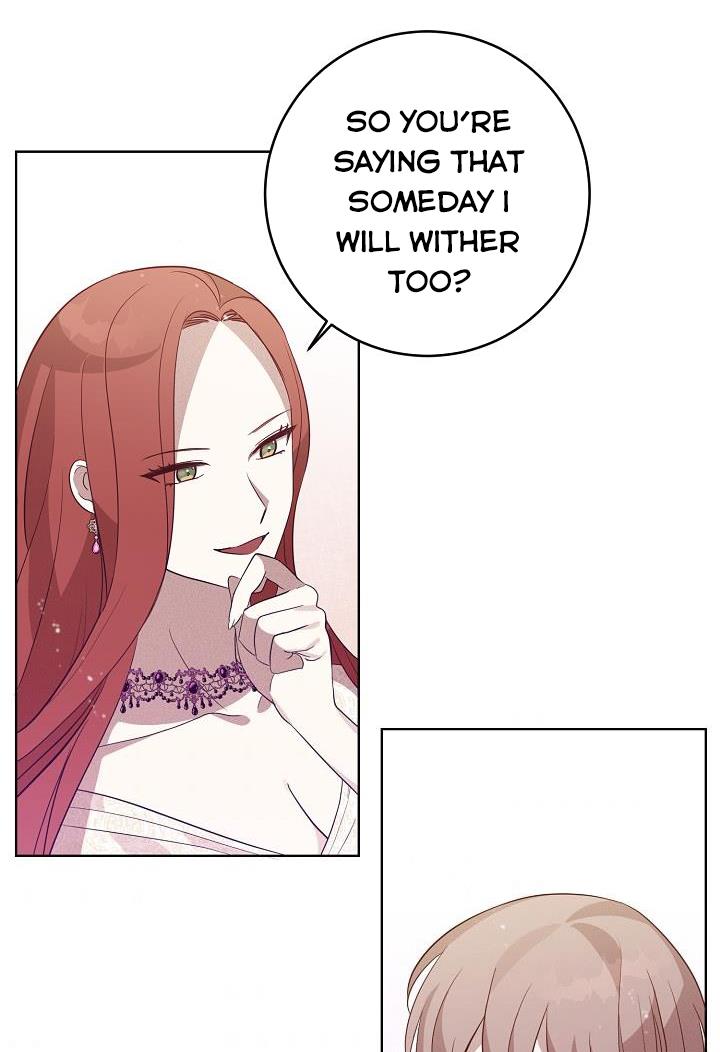 GENTLE TYRANT chapter 7 - page 5