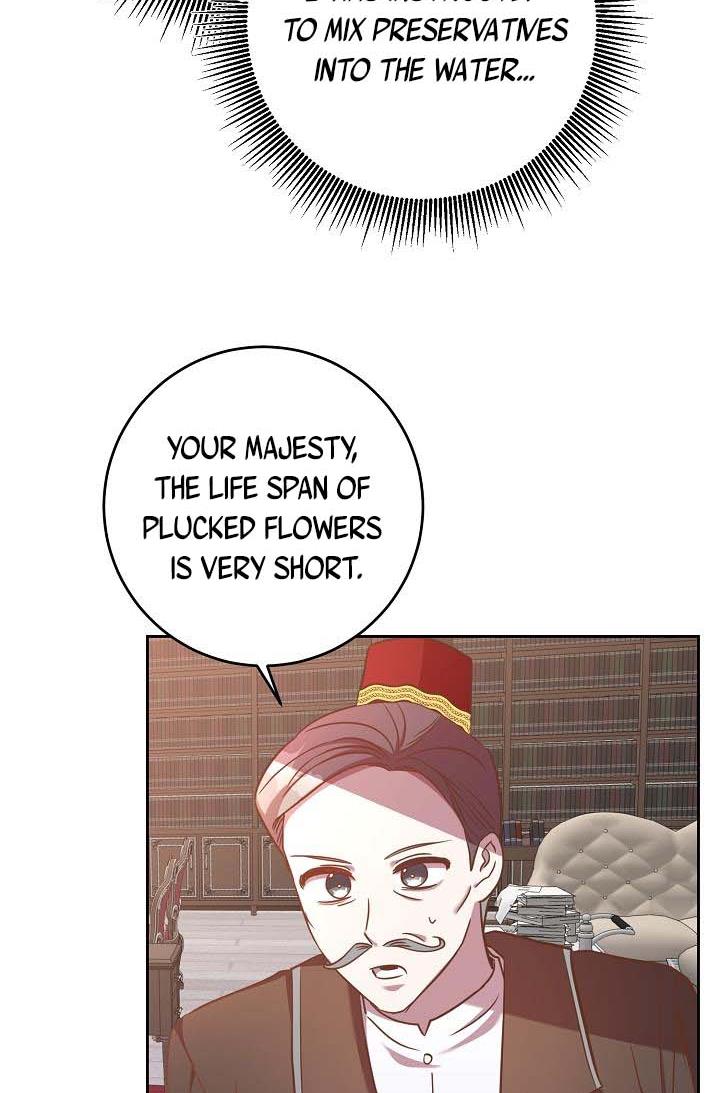 GENTLE TYRANT chapter 20 - page 40