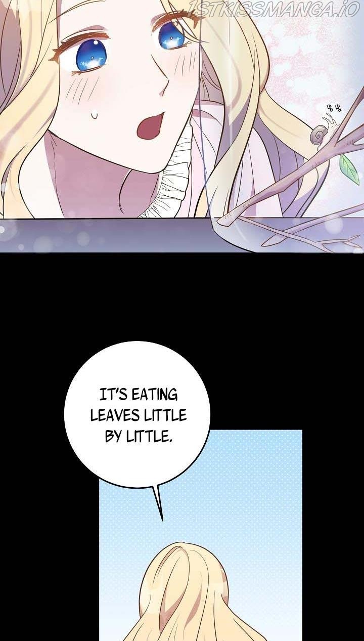 GENTLE TYRANT chapter 13 - page 51