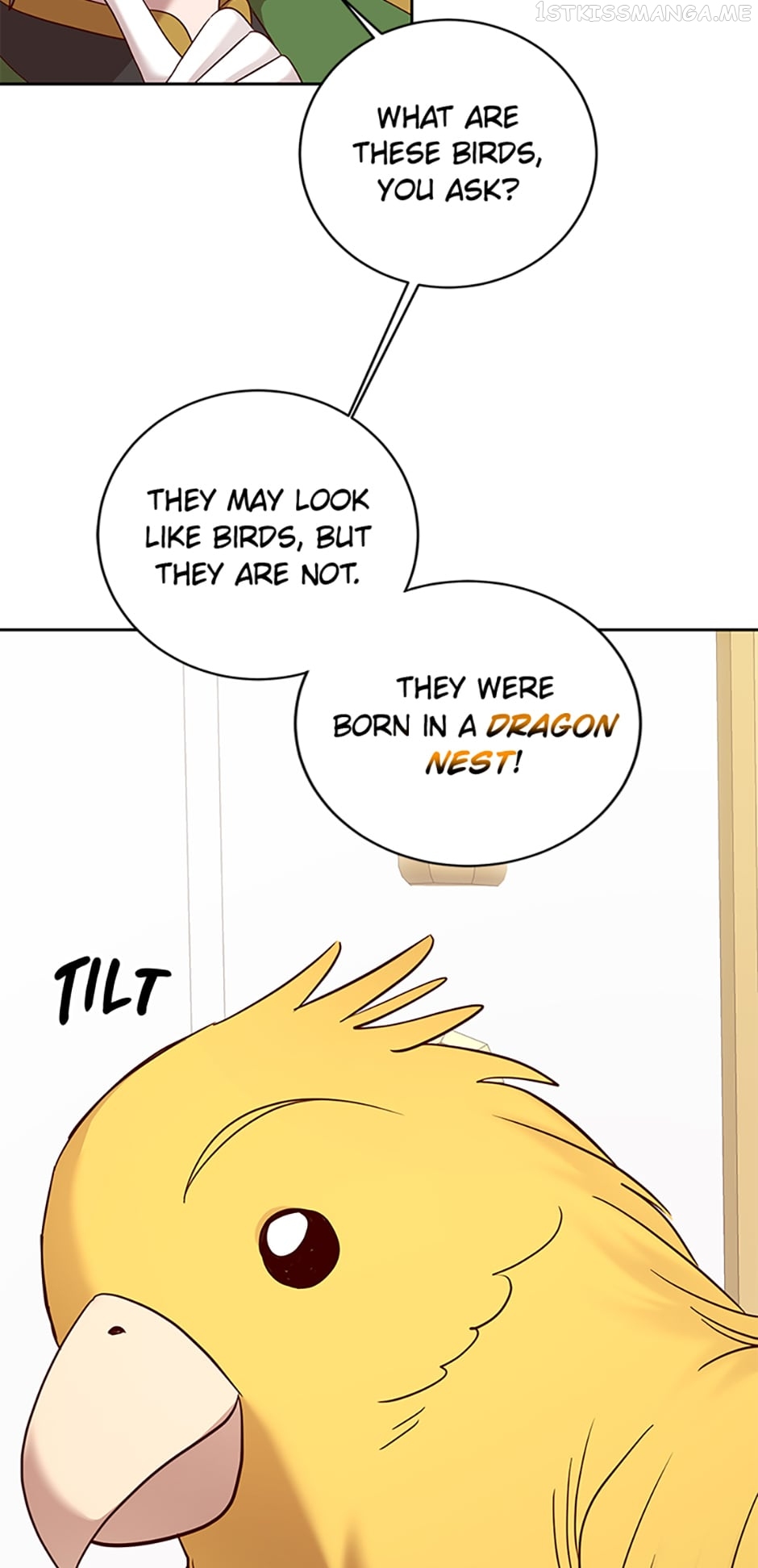GENTLE TYRANT Chapter 54 - page 14