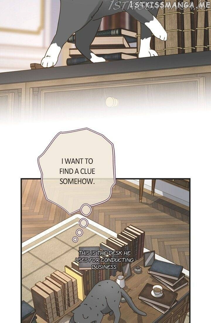 Survival Marriage chapter 65 - page 61