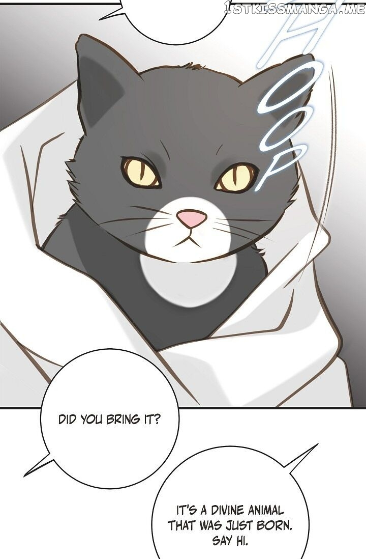 Survival Marriage chapter 73 - page 52