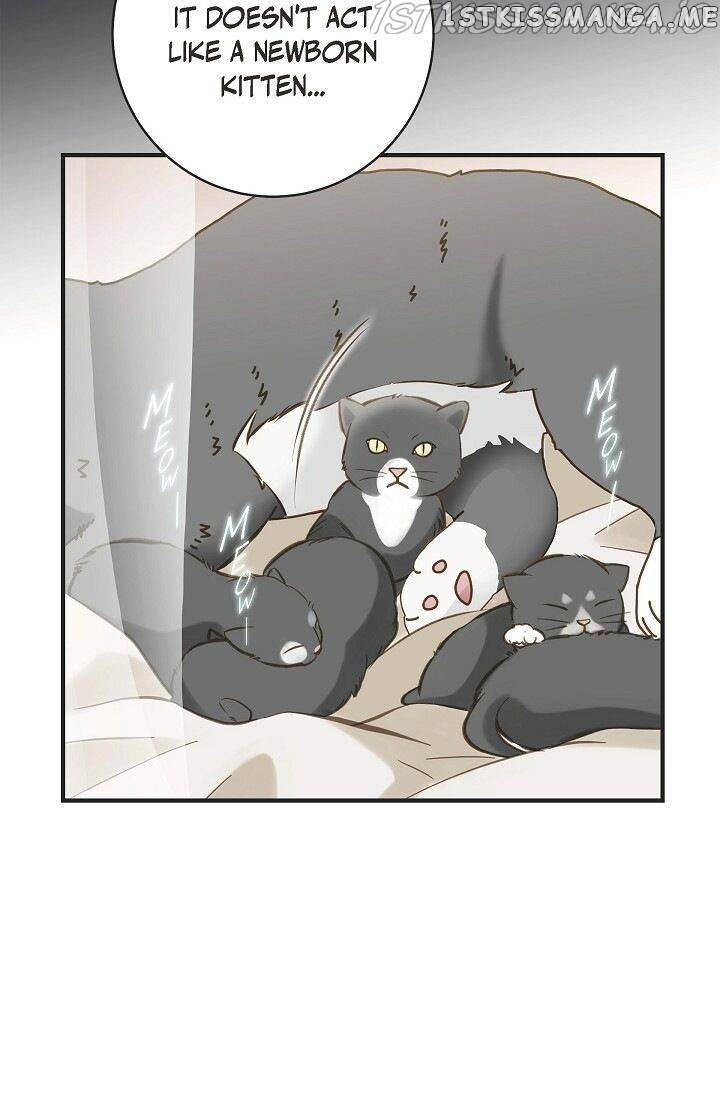 Survival Marriage chapter 72 - page 42