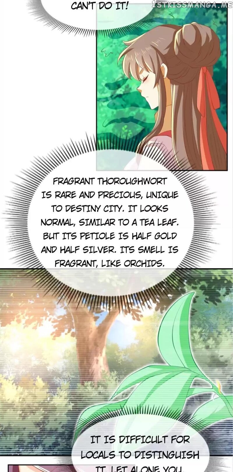 Drop-Dead Beauty chapter 132 - page 7