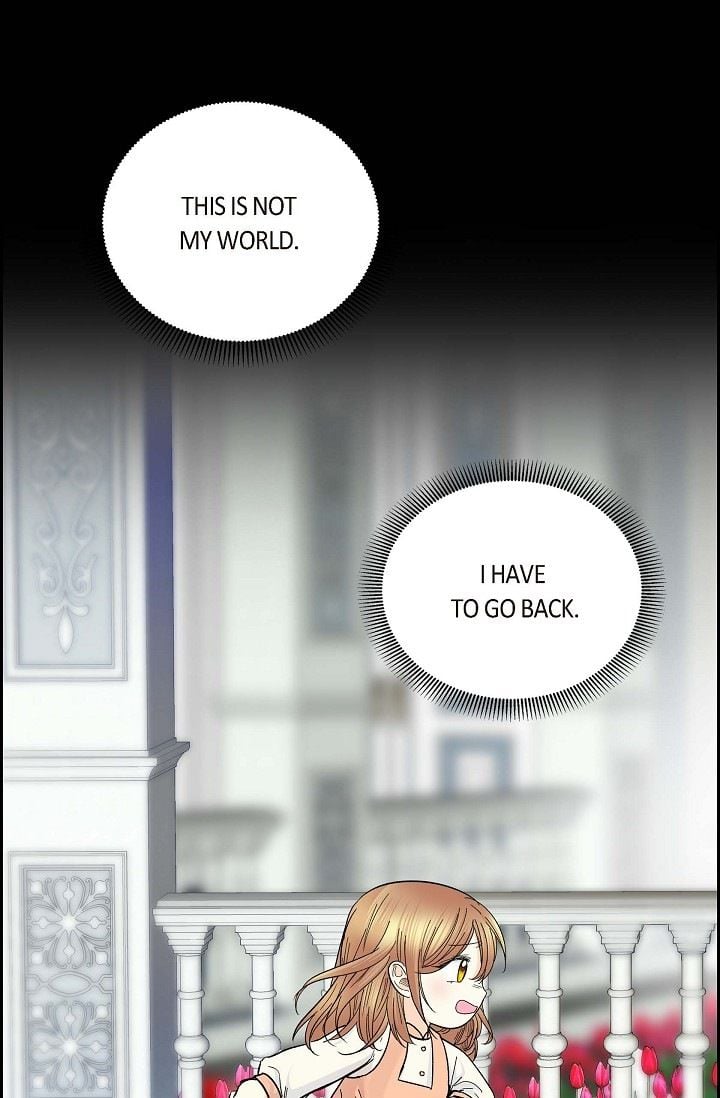For Stella Chapter 28 - page 3