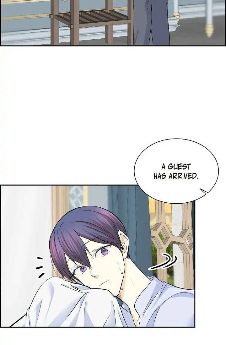 For Stella Chapter 39 - page 51
