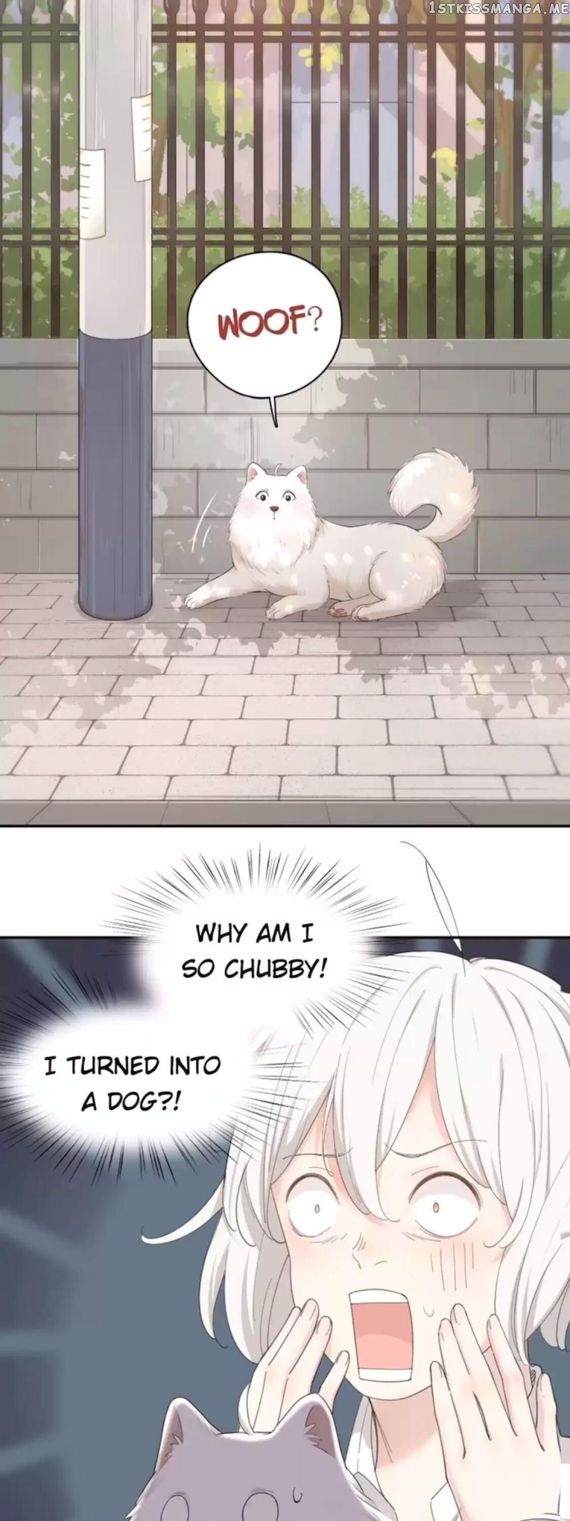 She Is Still Cute Today Chapter 40 - page 2