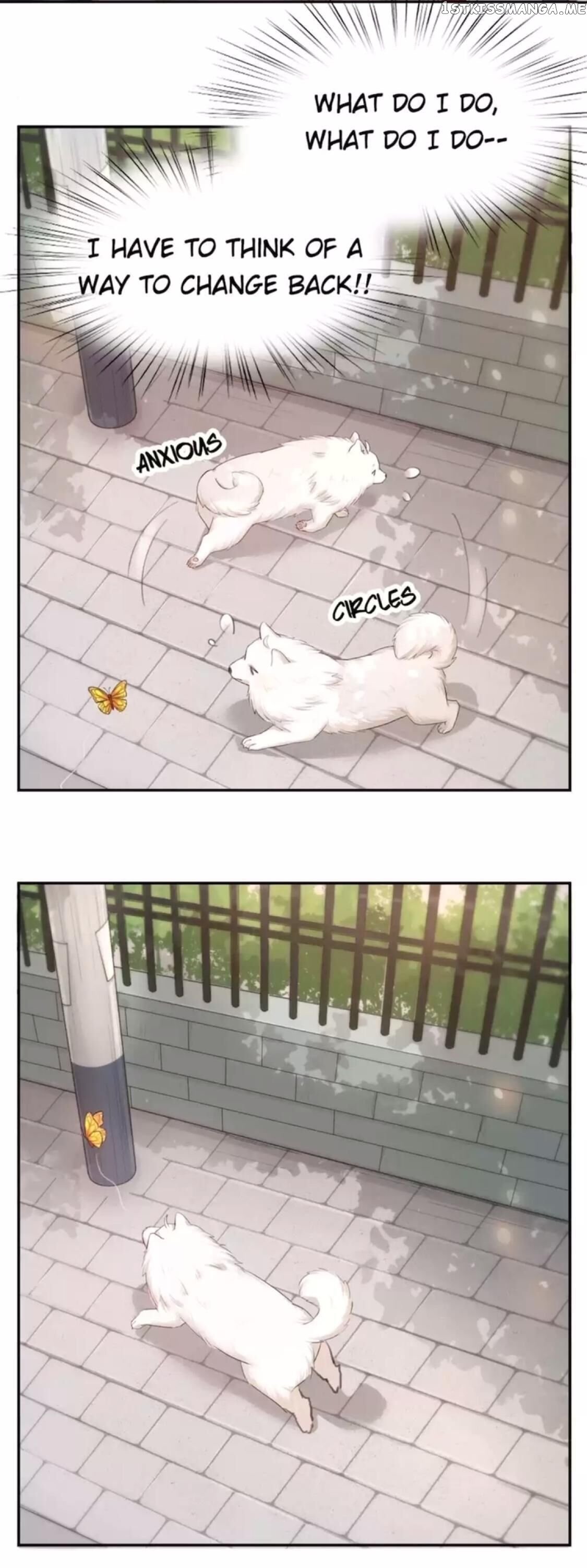 She Is Still Cute Today Chapter 40 - page 4