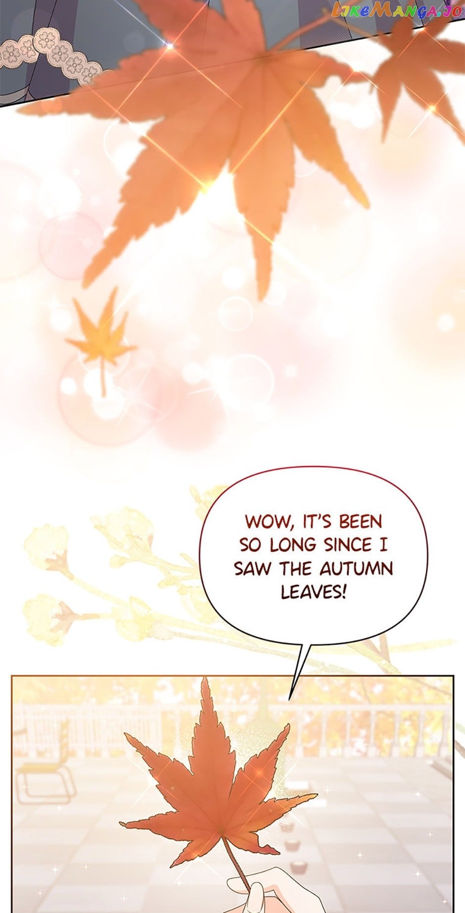 Abella's Dessert Cafe Chapter 78 - page 4