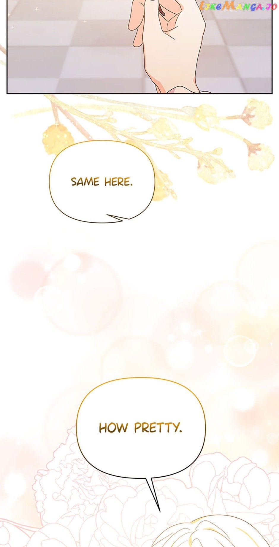 Abella's Dessert Cafe Chapter 78 - page 5