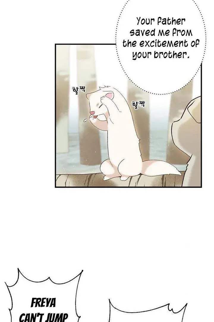 Death To The White Ferret Weasel Chapter 1 - page 38