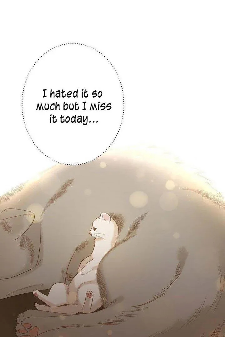 Death To The White Ferret Weasel Chapter 1 - page 65