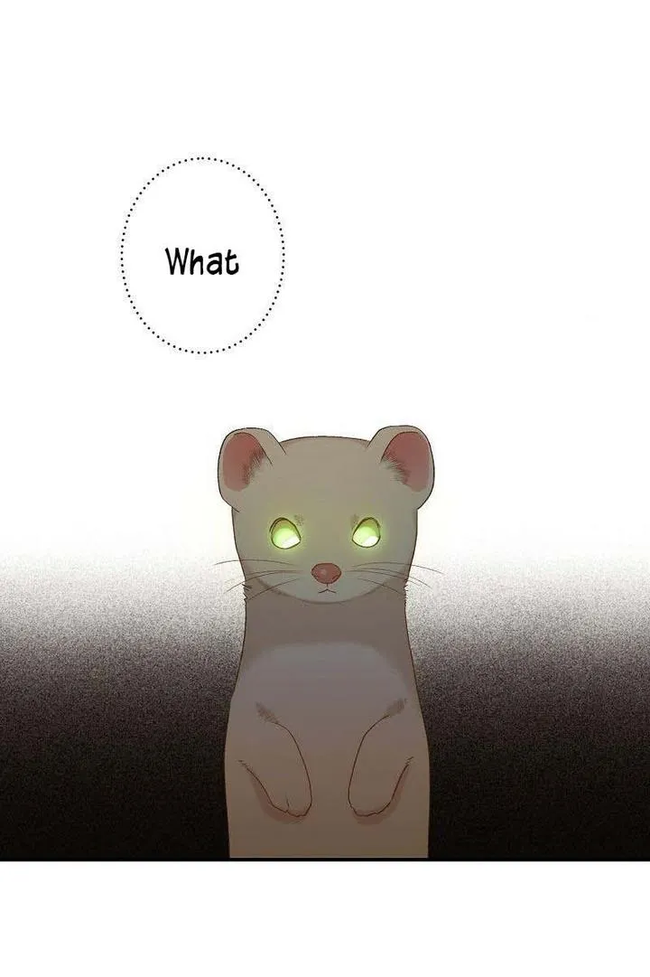 Death To The White Ferret Weasel Chapter 1 - page 76