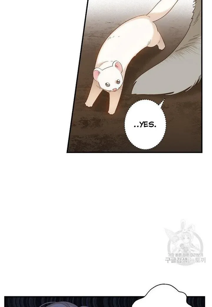 Death To The White Ferret Weasel Chapter 4 - page 11
