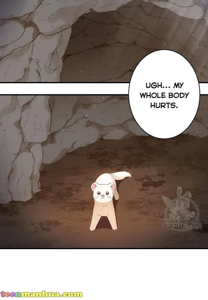 Death To The White Ferret Weasel Chapter 4 - page 13