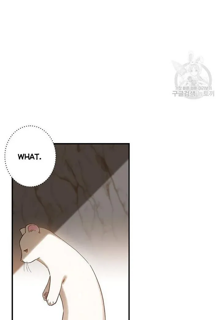 Death To The White Ferret Weasel Chapter 4 - page 23