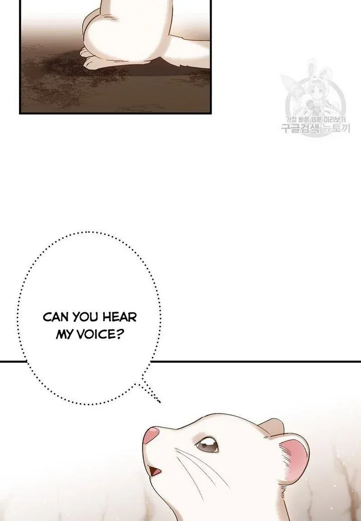 Death To The White Ferret Weasel Chapter 4 - page 24