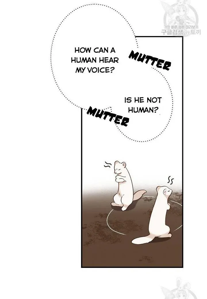Death To The White Ferret Weasel Chapter 4 - page 27