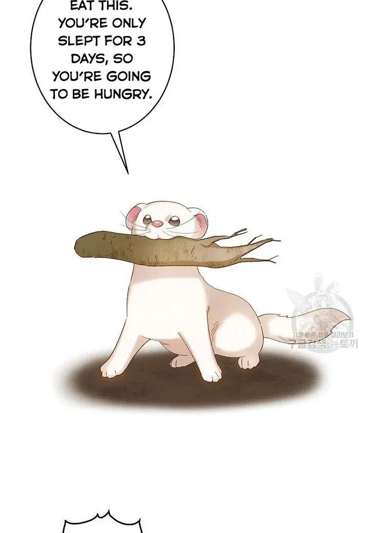 Death To The White Ferret Weasel Chapter 4 - page 36