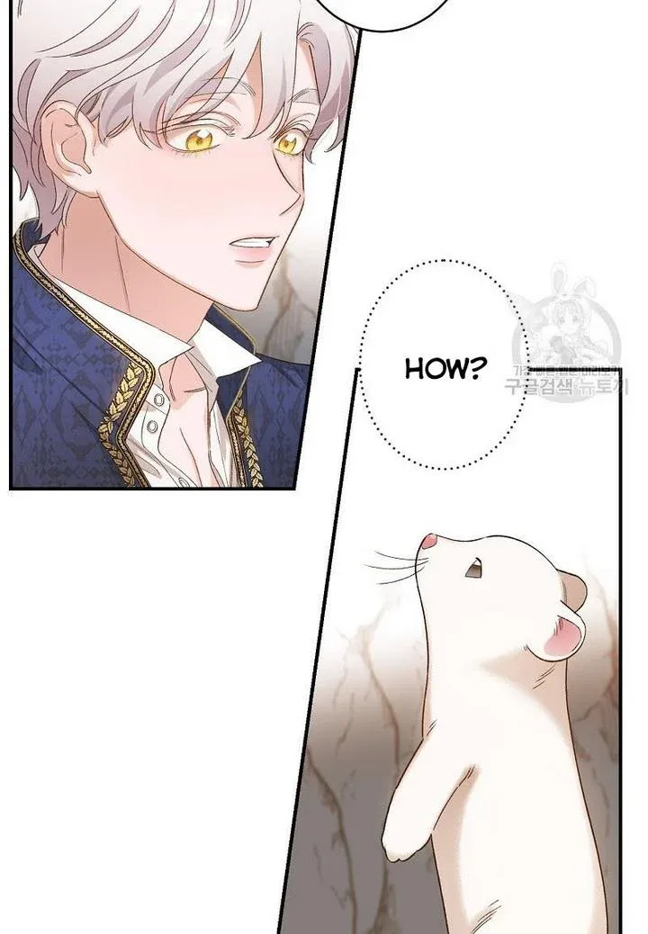 Death To The White Ferret Weasel Chapter 4 - page 41