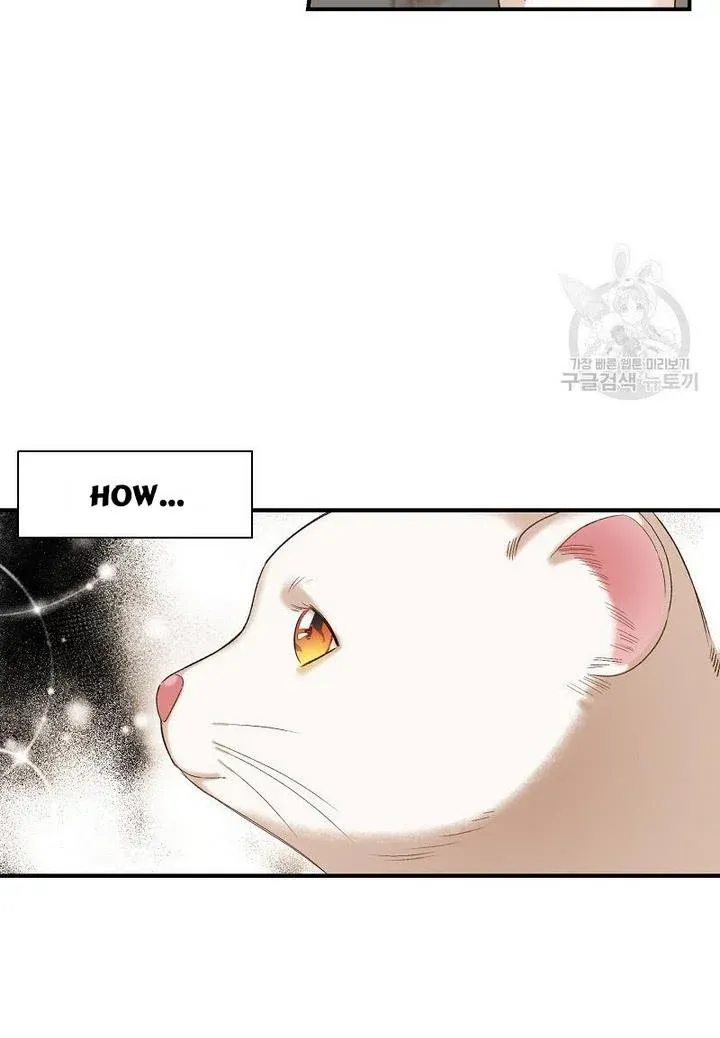 Death To The White Ferret Weasel Chapter 4 - page 42