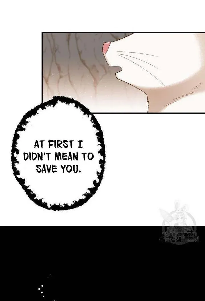 Death To The White Ferret Weasel Chapter 5 - page 25