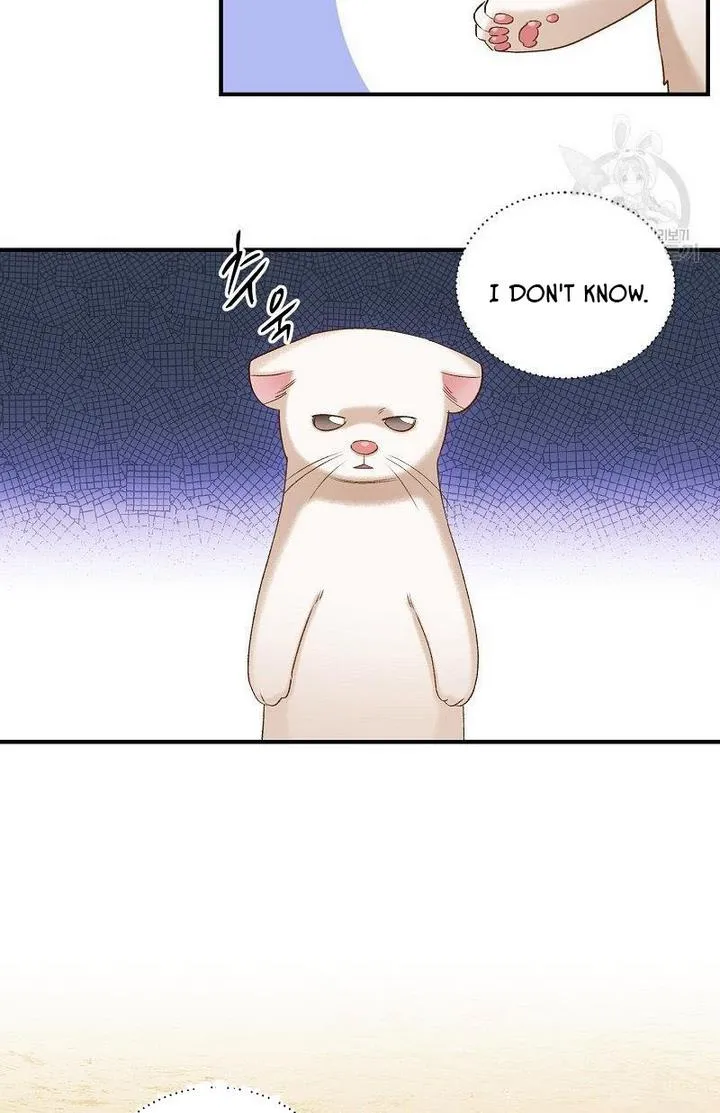 Death To The White Ferret Weasel Chapter 6 - page 10