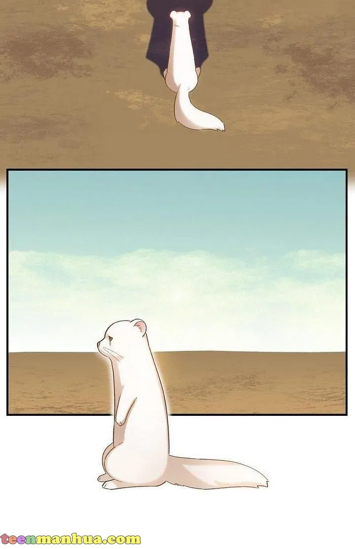 Death To The White Ferret Weasel Chapter 6 - page 12