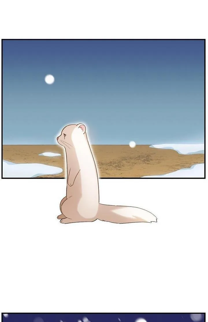 Death To The White Ferret Weasel Chapter 6 - page 13