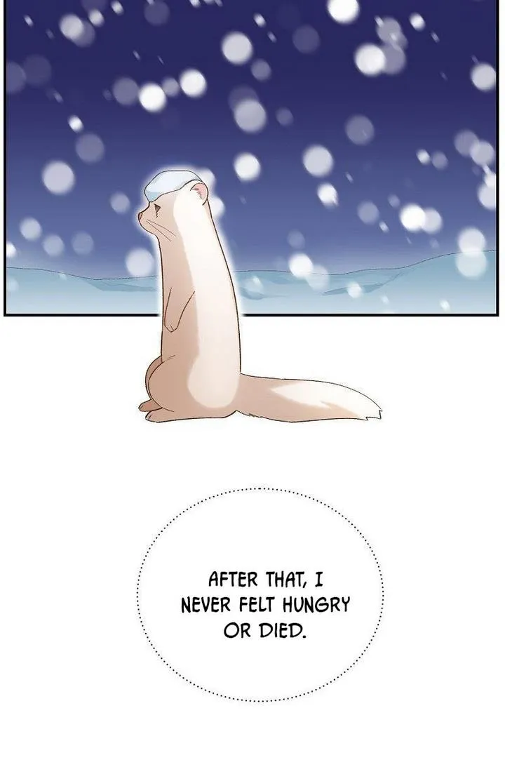 Death To The White Ferret Weasel Chapter 6 - page 14