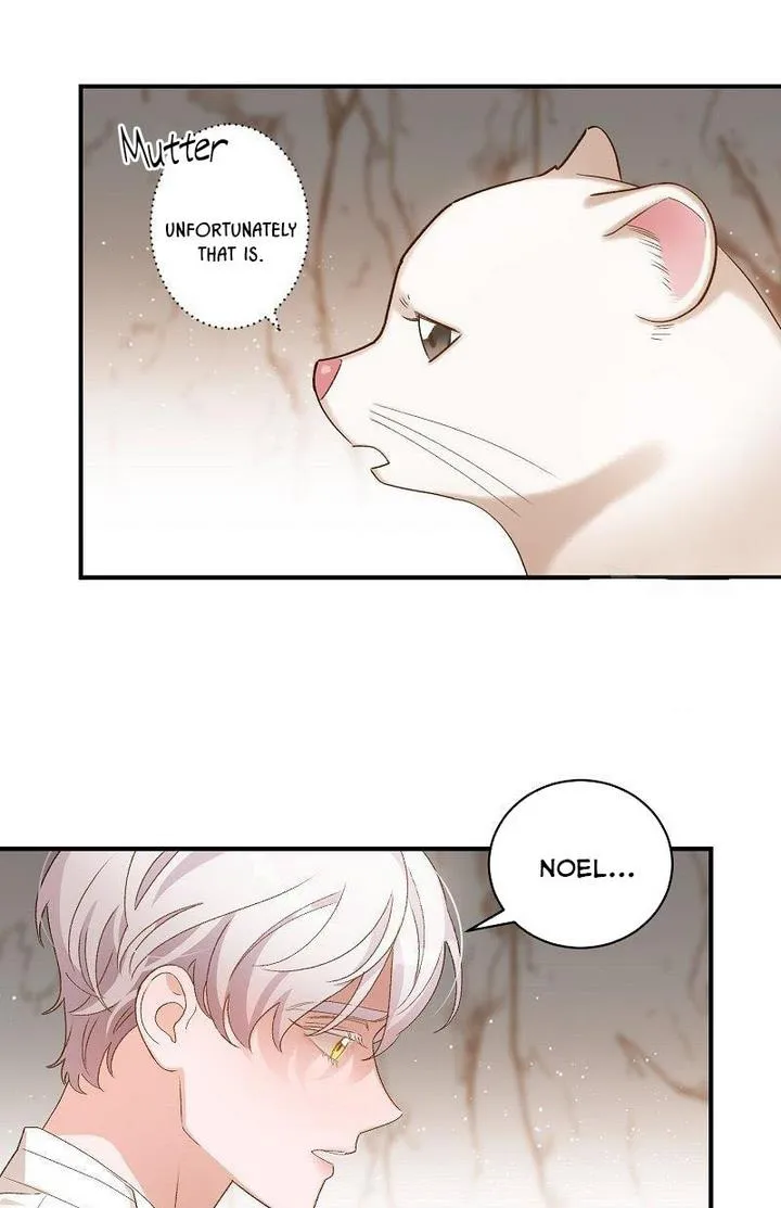Death To The White Ferret Weasel Chapter 6 - page 15