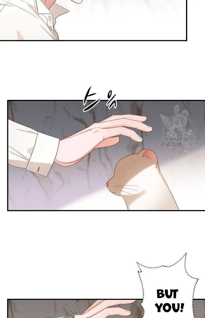 Death To The White Ferret Weasel Chapter 6 - page 16