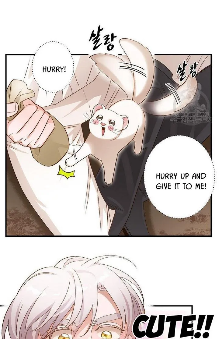 Death To The White Ferret Weasel Chapter 6 - page 33