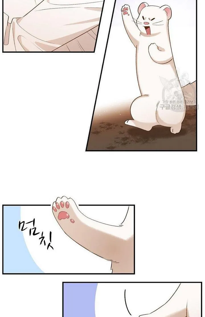 Death To The White Ferret Weasel Chapter 6 - page 9