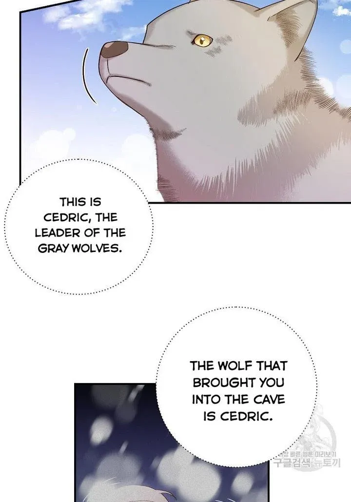 Death To The White Ferret Weasel Chapter 7 - page 36