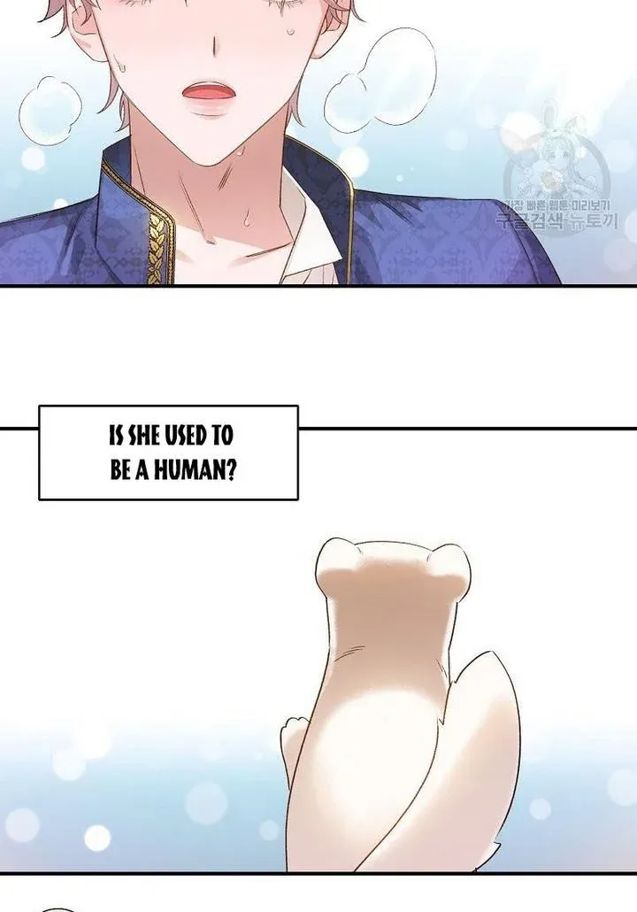 Death To The White Ferret Weasel Chapter 7 - page 4