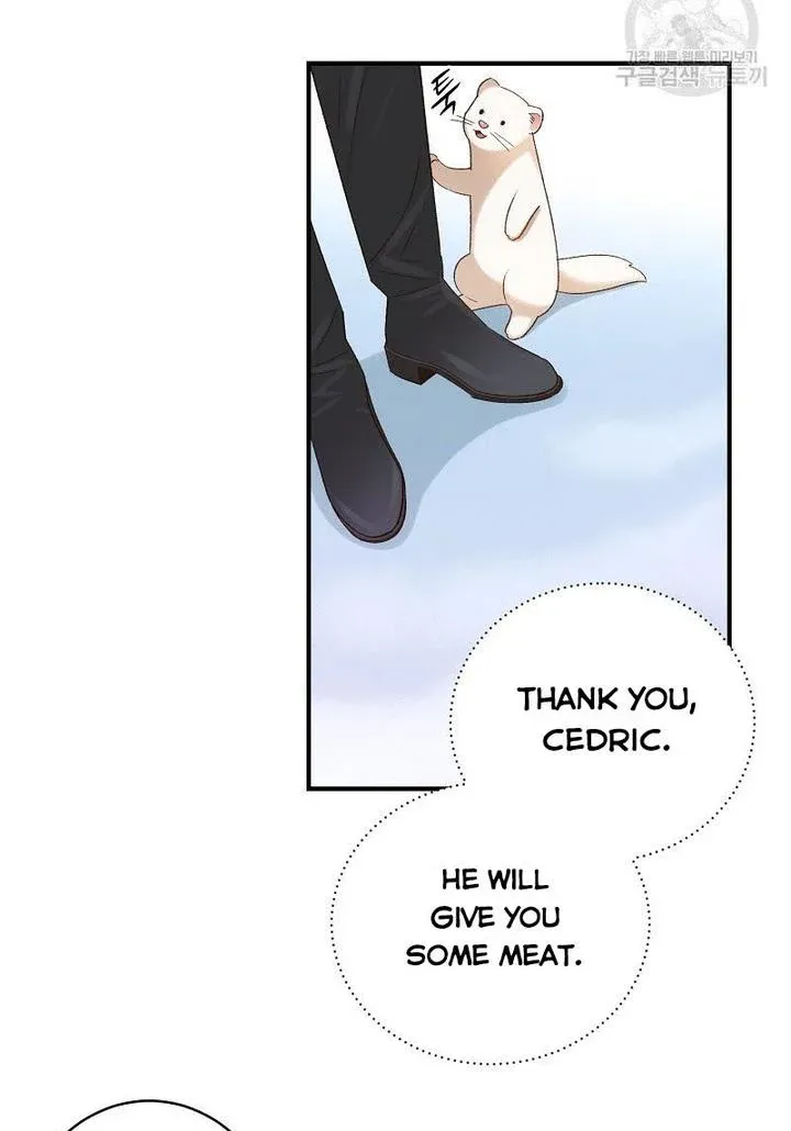 Death To The White Ferret Weasel Chapter 7 - page 58
