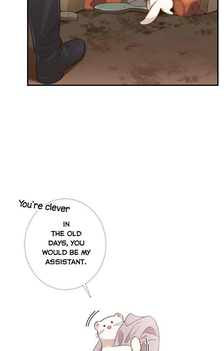 Death To The White Ferret Weasel Chapter 10 - page 11