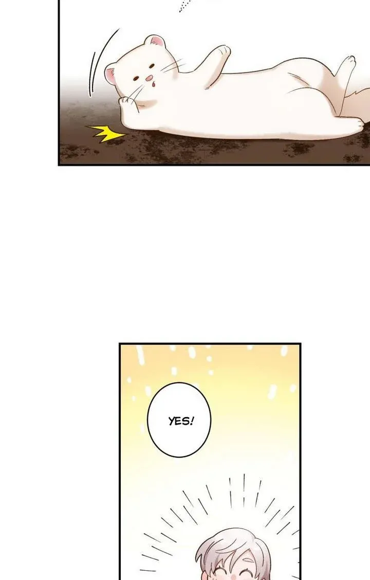 Death To The White Ferret Weasel Chapter 10 - page 15