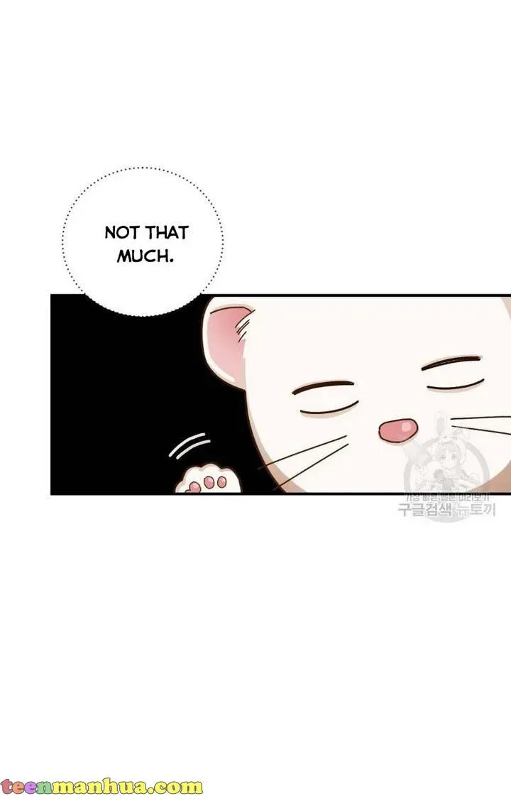 Death To The White Ferret Weasel Chapter 10 - page 20