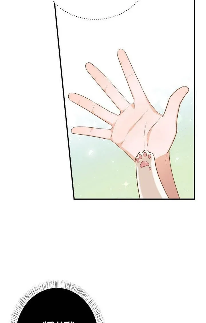 Death To The White Ferret Weasel Chapter 10 - page 3