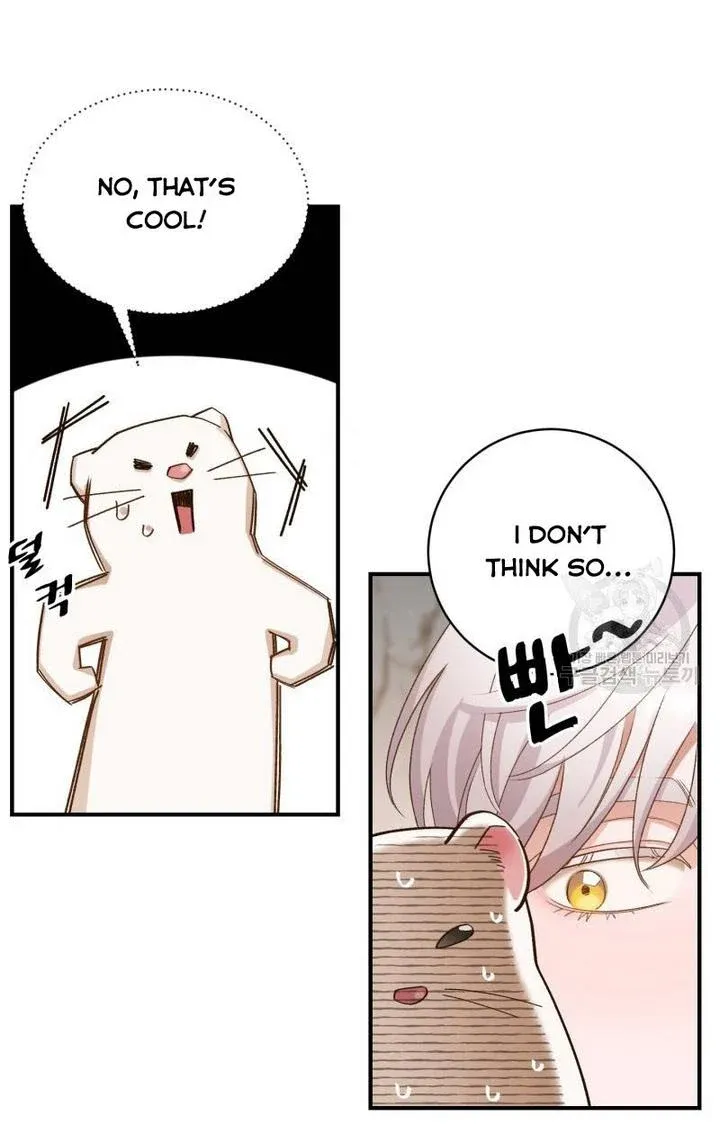 Death To The White Ferret Weasel Chapter 10 - page 49